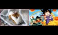 Dragon Ball Guinea Pigsd