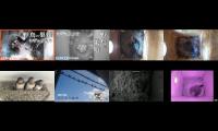 birdsnestinglivestream31