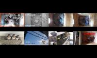 birdsnestinglivestream31