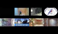 birdsnestinglivestream1
