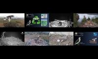 Thumbnail of Live UK Osprey Nest Cameras 12/5/21