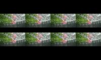 Thunder and Rain closeup | Rain Sounds for Relaxing,focus our sleep