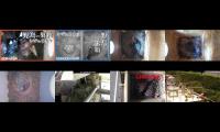 birdsnestinglivestream31
