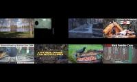 birdsnestinglivestream33