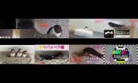 birdsnestinglivestream14