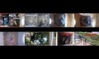 birdsnestinglivestream31