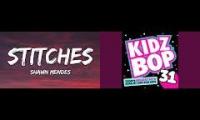 Shawn Mendes VS Kidz Bop Stitches Song Comparison