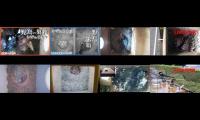 birdsnestinglivestream31