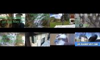 Thumbnail of birdsnestinglivestream10