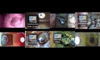Thumbnail of birdsnestinglivestream11
