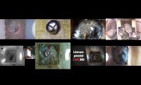 birdsnestinglivestream64