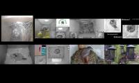 birdsnestinglivestream65