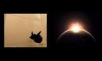 catspaceadventure14214124512