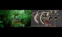 Nature sounds with music