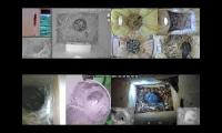 birdsnestinglivestream65