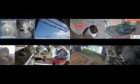birdsnestinglivestream31