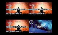 Mindfulness storage field