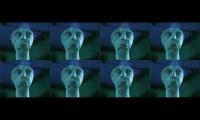 yelling creature cacophony