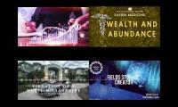 Wealth belief & vibration storage fields
