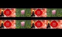 Meditation music to make your mind and body calm