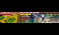 Pertanian dan Panen noal farm