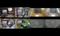 birdsnestinglivestream78