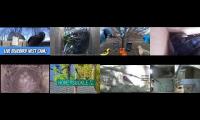 birdsnestinglivestream71