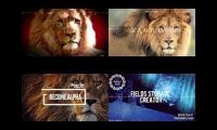 Lion experience alpha courage storage field