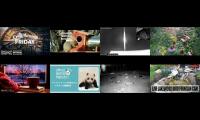 birdsnestinglivestream85