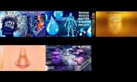 SESSION 2 ( INTELLIGENCE + Male Symmetries )