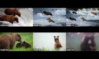 Katmai falls and lower river cams