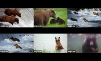 Katmai National Park, Alaska, USA