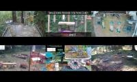 birdsnestinglivestream84