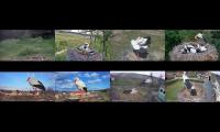 birdsnestinglivestream20