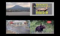 Rolling Fuji Webcam around the World