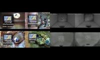 Thumbnail of birdsnestinglivestream78