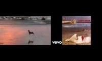 No Body Gonna Break-a-my stride