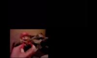 Thumbnail of PiCKLED FISH LIPS Sparta Quadparison