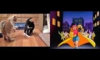 Kittens Fighting to X-Men Theme Song