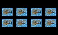 Sponge bob reversed x 8