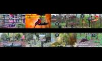 Thumbnail of Bird-feeder-livestream8