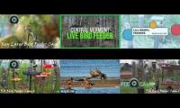Bird-feeder-livestream8