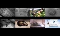 Bird-Nesting-Livestream6