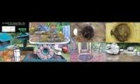 Bird-Nesting-Livestream8