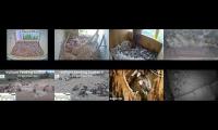 Bird-Nesting-Livestream12