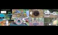 Bird-Nesting-Livestream8