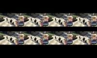 Thumbnail of Point blank malam wajdnasjdnjsndjnasjdnkasdnjanskdjnakjsndjsa