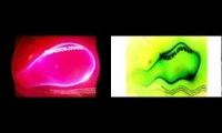 Nelvana / Nickelodeon (2009) in C Major 2 by Joeys Channel The Object Thingy