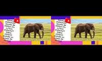 Sunetul elefantului.Sunete de elefant