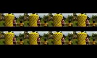 Kc kicau channel, Kc kicau channel, Kc kicau channel, Kc kicau channel, Kc kicau channel,